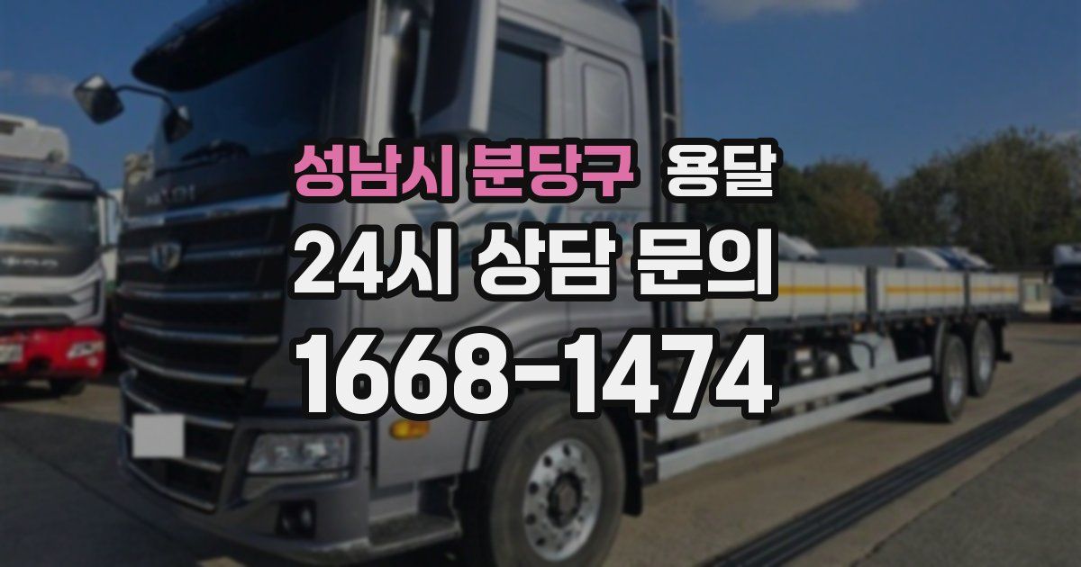 성남시 분당구 용달