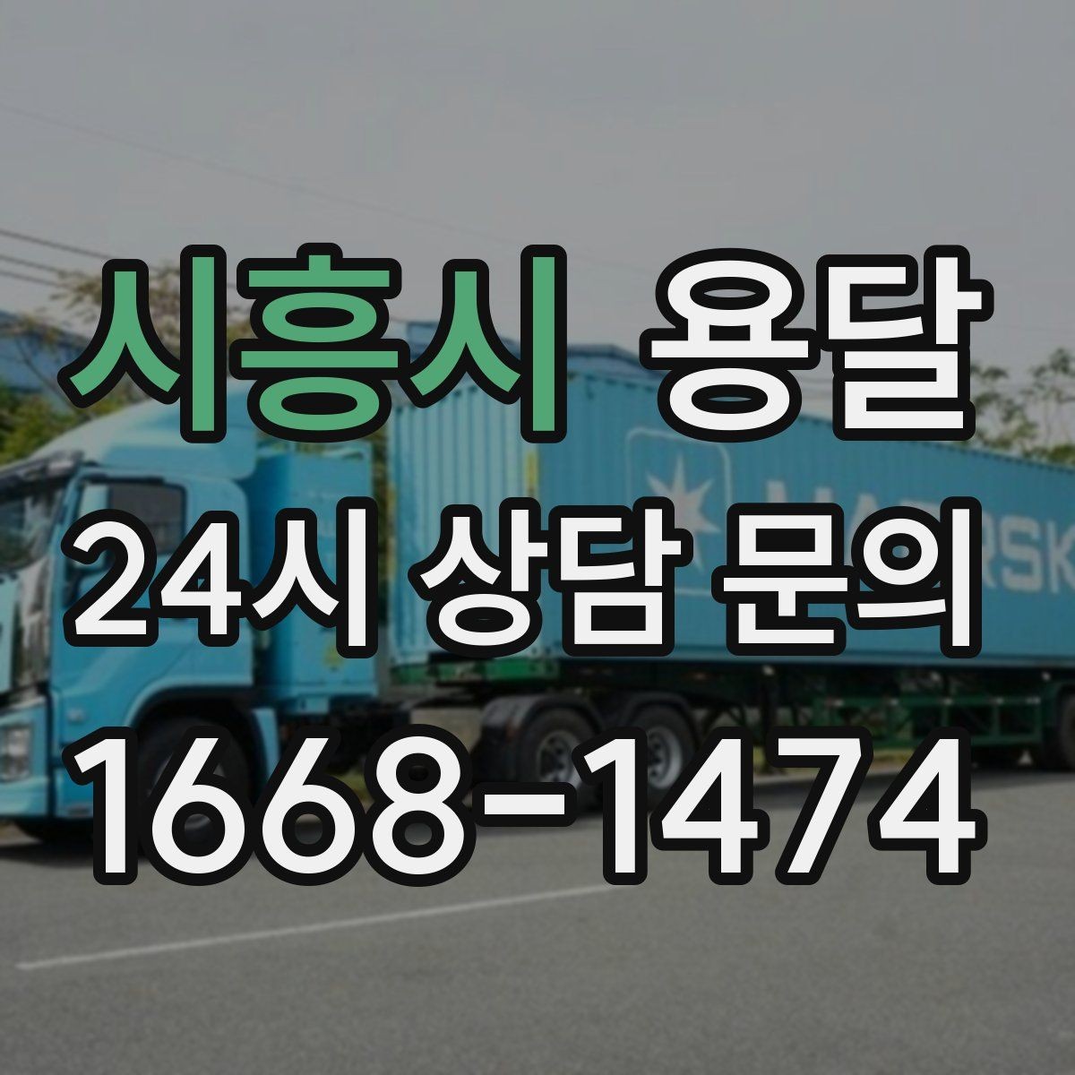 시흥시 용달 반려동물 케이지 용품까지 안전하게 옮기는 팁