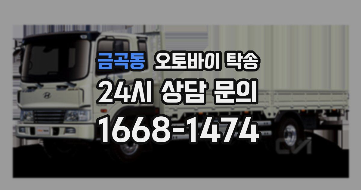금곡동 오토바이 탁송