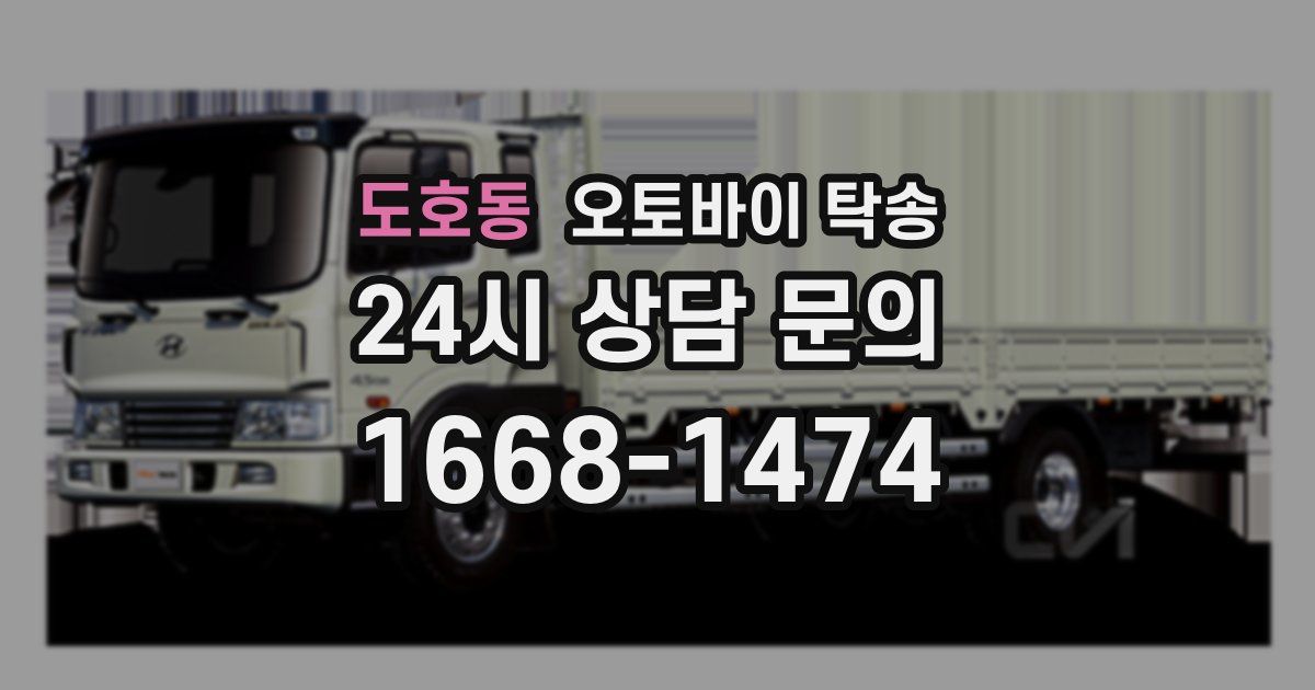 도호동 오토바이 탁송