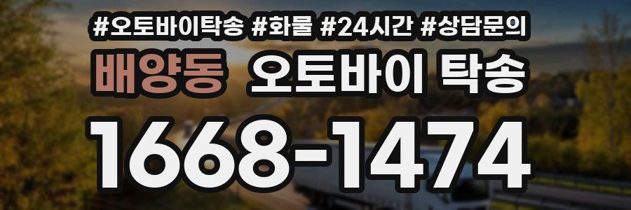 배양동 오토바이 탁송