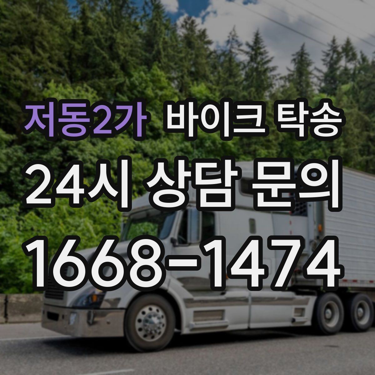 저동2가 바이크 탁송 시즌 오픈 전 점검 이동 편하게 하기