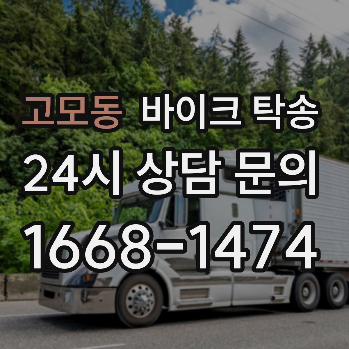 고모동 바이크 탁송