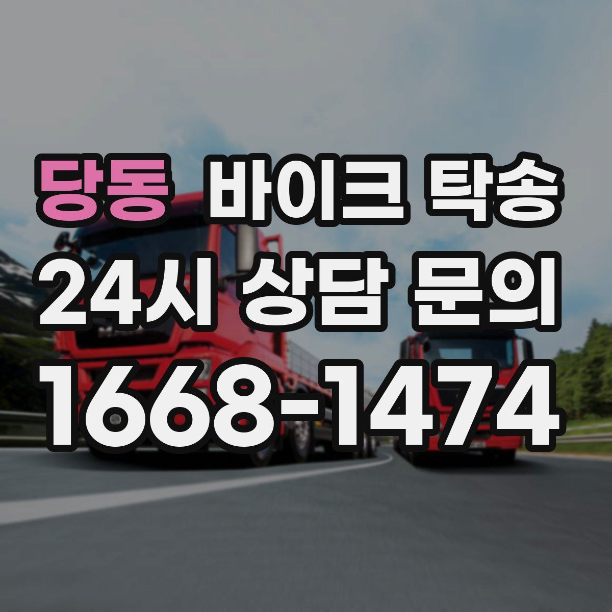 당동 바이크 탁송