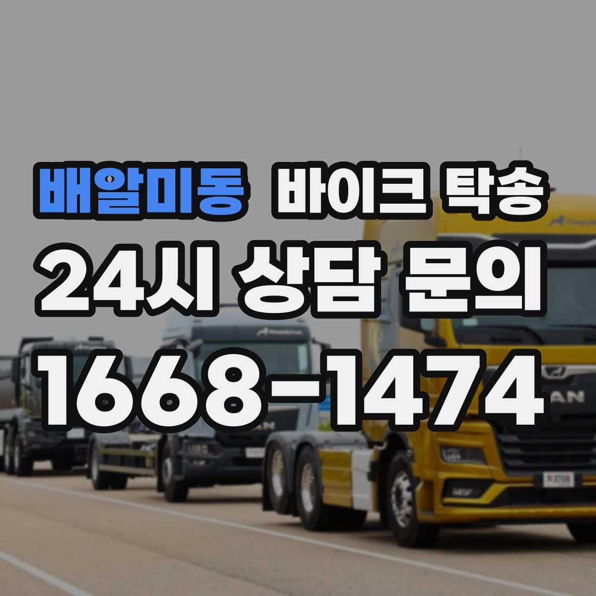 배알미동 바이크 탁송