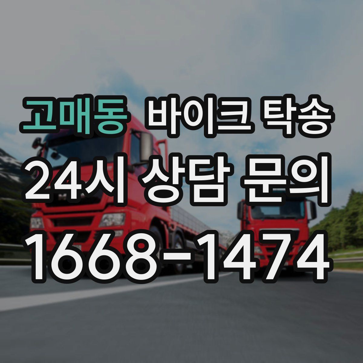 고매동 바이크 탁송