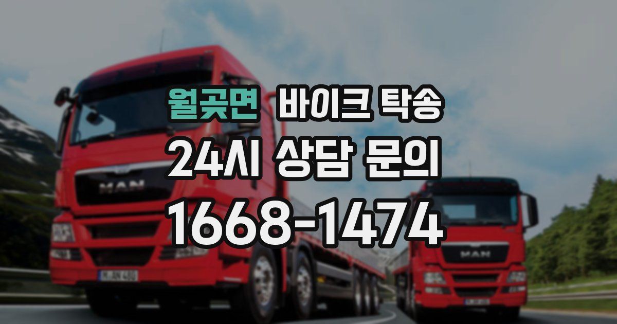 월곶면 바이크 탁송