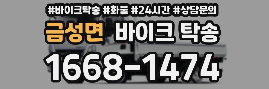 금성면 바이크 탁송