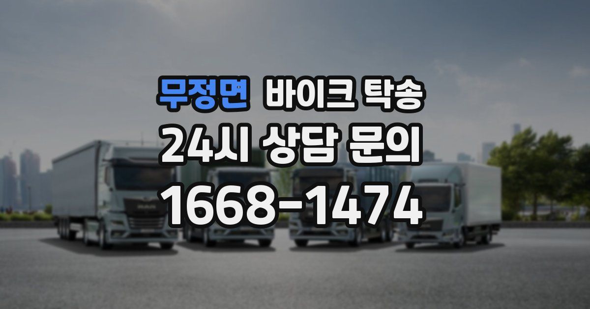 무정면 바이크 탁송