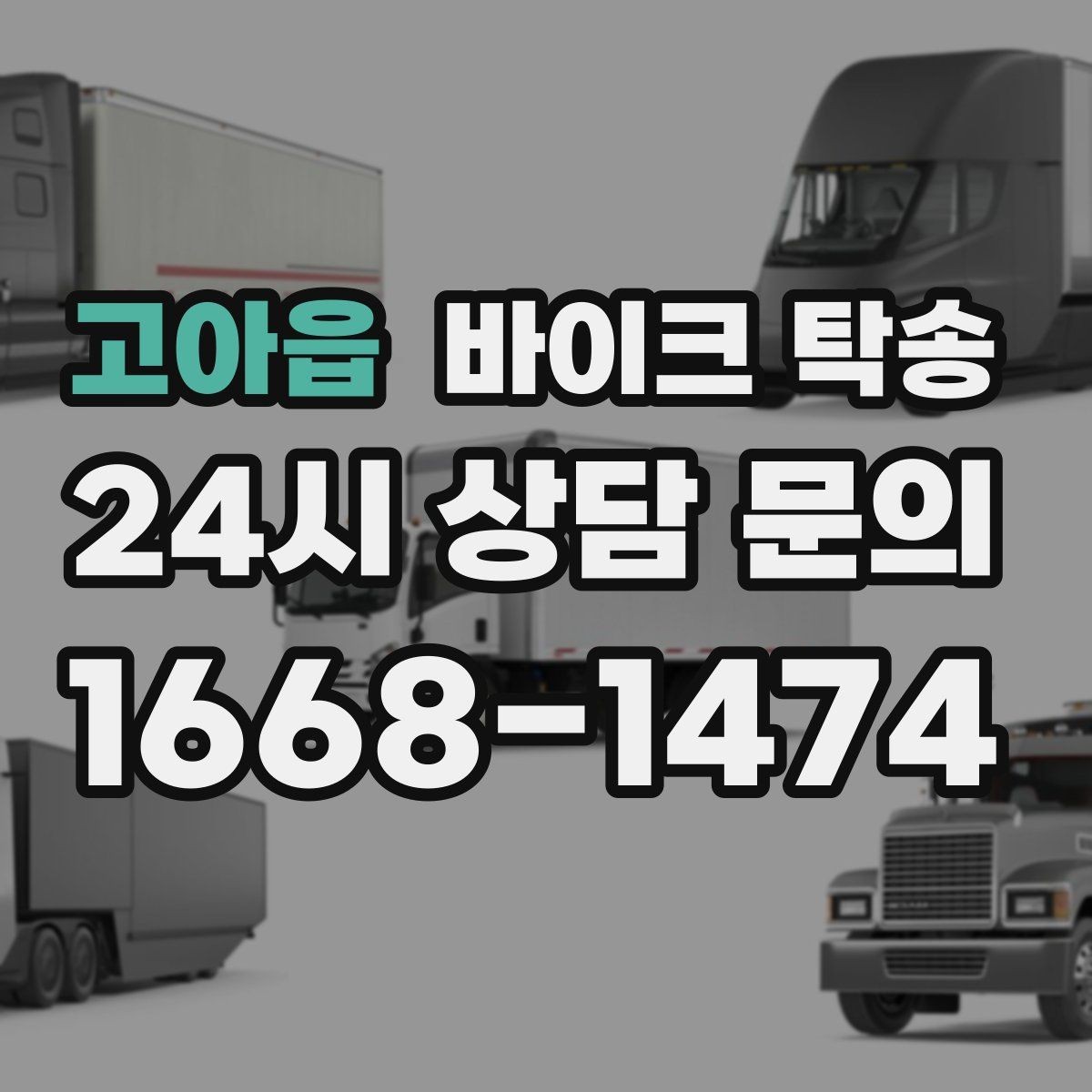 고아읍 바이크 탁송 커스텀 파츠 많은 바이크 이동 전 체크