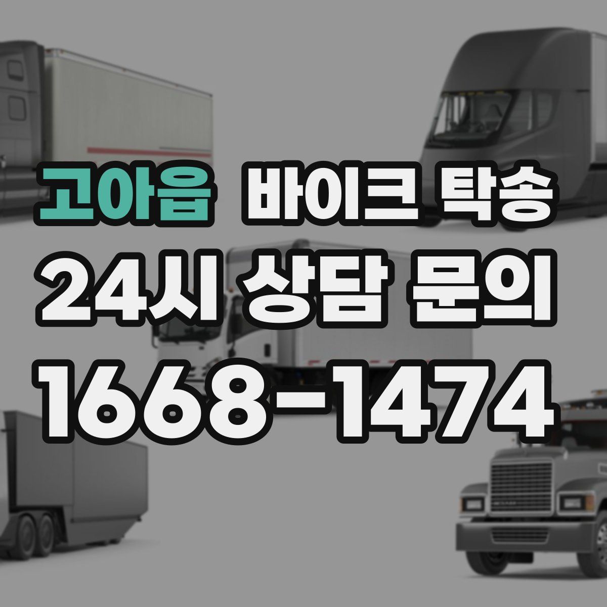 고아읍 바이크 탁송