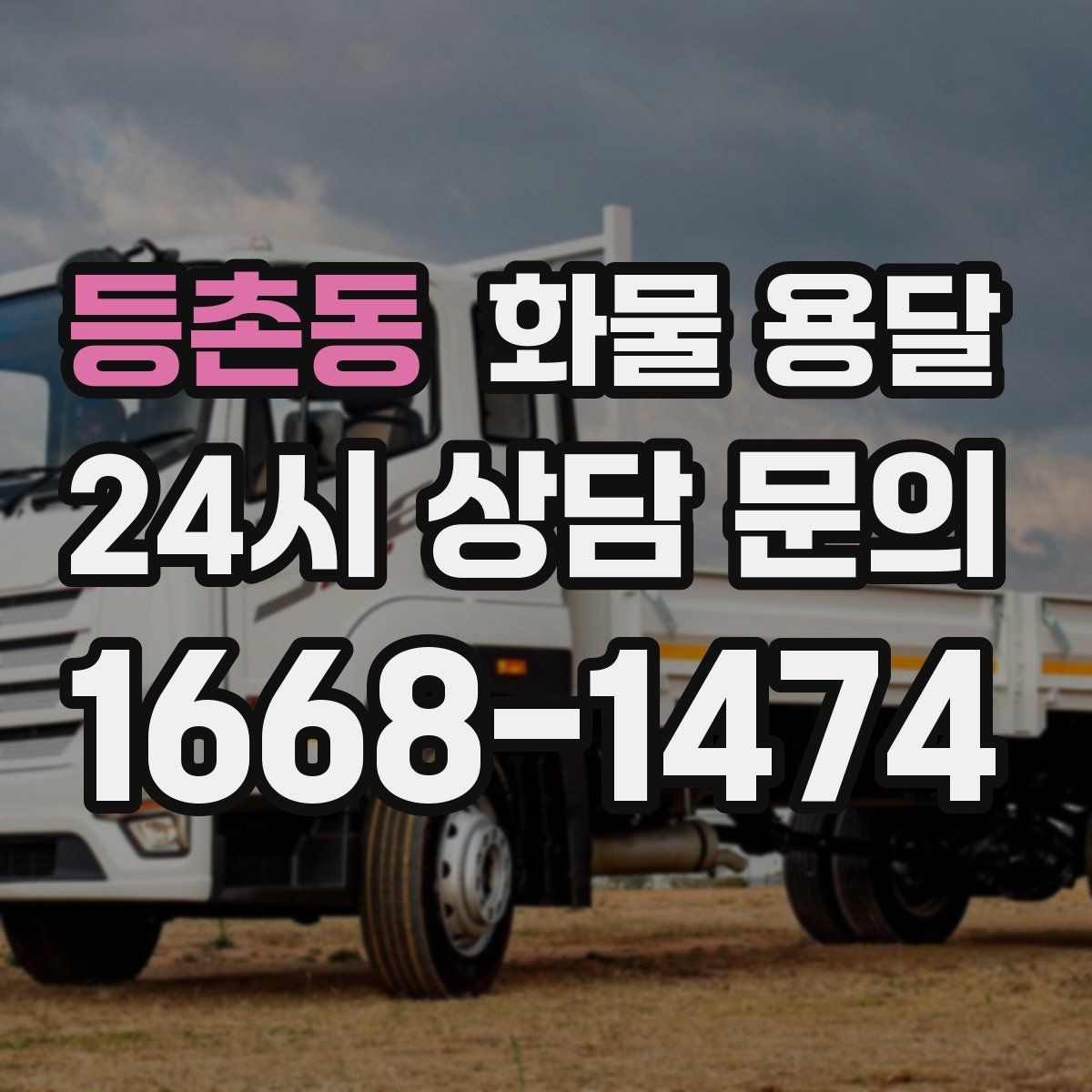 등촌동 화물 용달 목재 합판 운송 시 변형 방지 팁