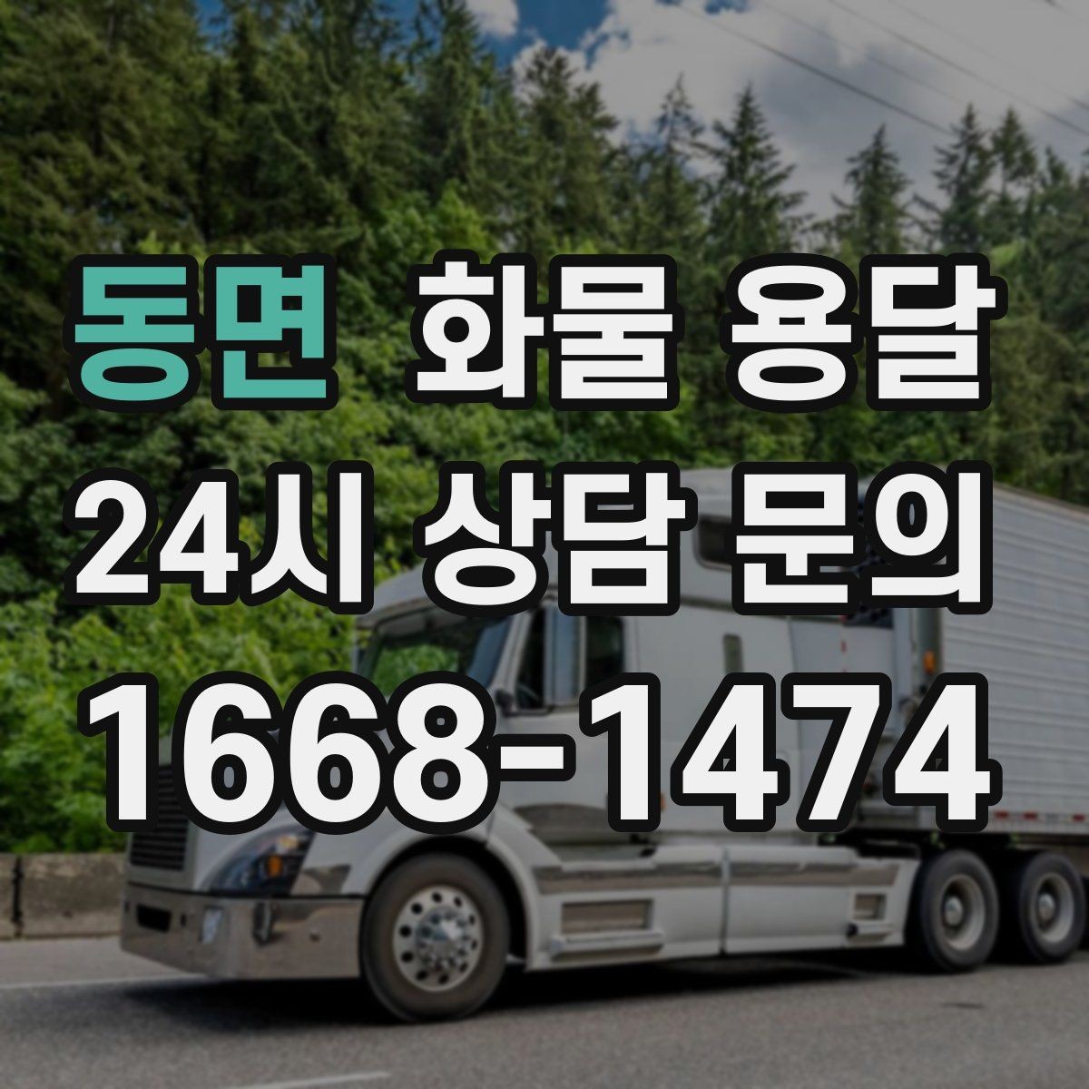 동면 화물 용달 현장 상황에 맞춘 차량 추천 기준