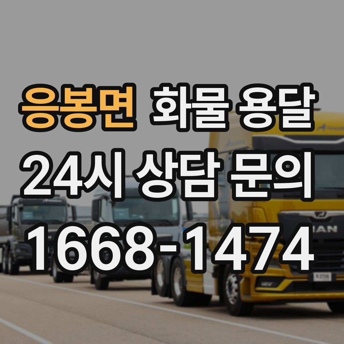 응봉면 화물 용달 윙바디가 현장에서 인기인 이유