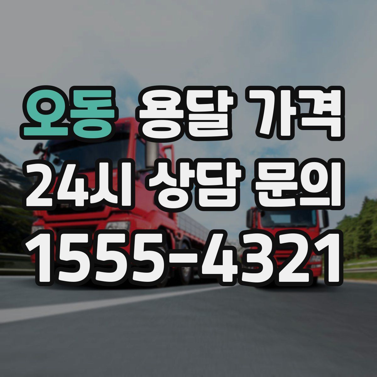 오동 용달 가격