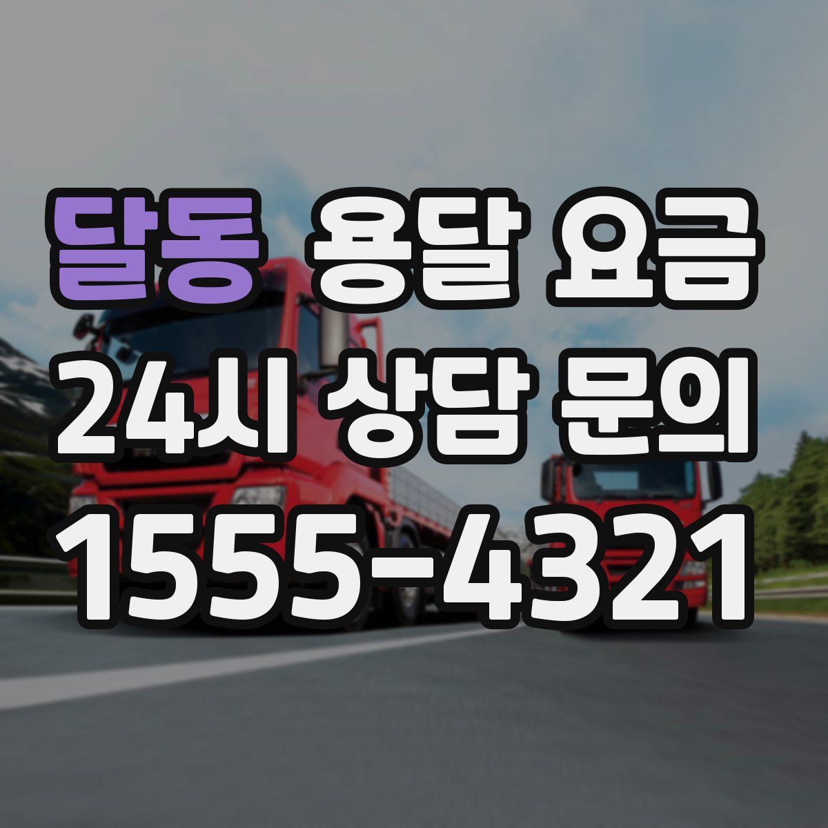 달동 용달 요금