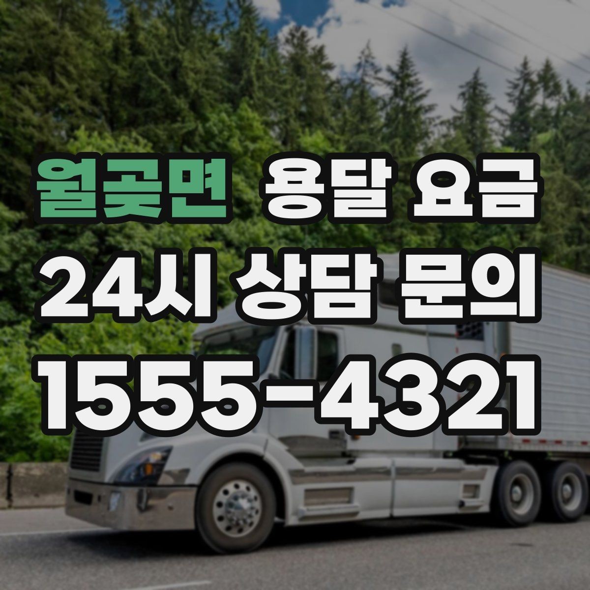 월곶면 용달 요금 완전 셀프 이사와 비교했을 때 차이