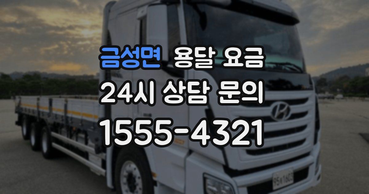 금성면 용달 요금