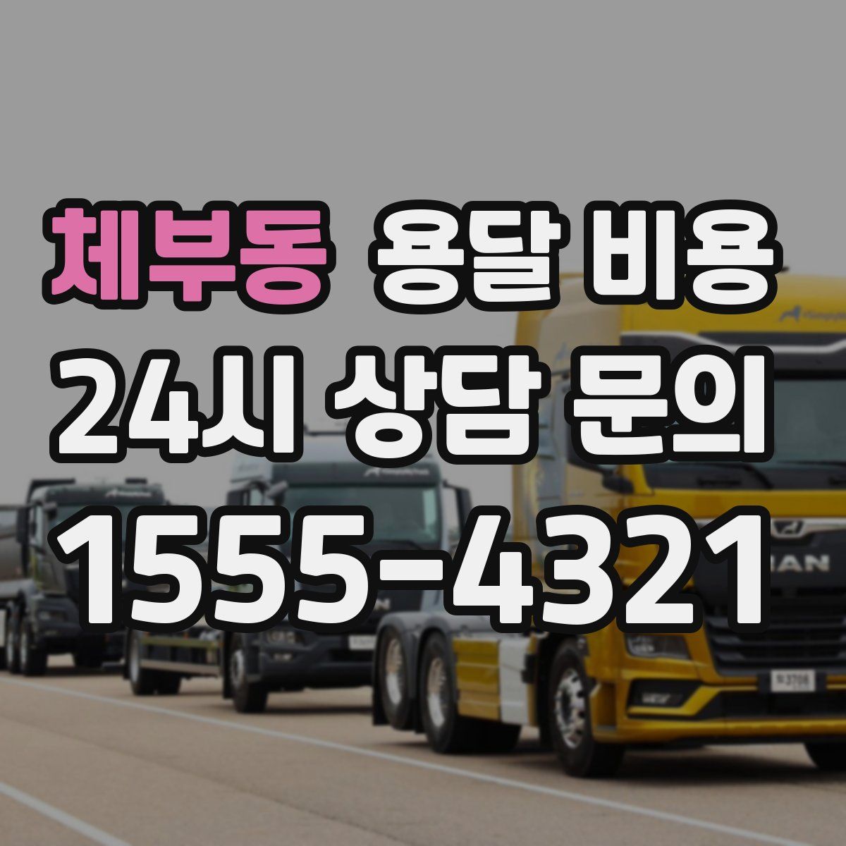 체부동 용달 비용