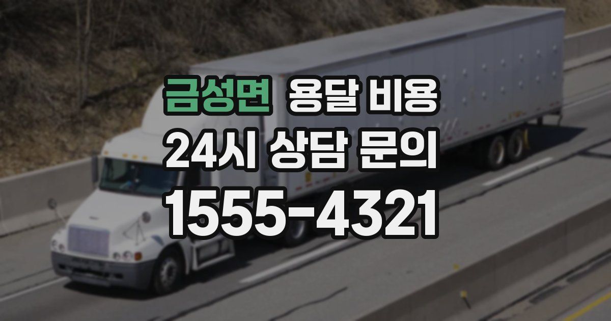 금성면 용달 비용