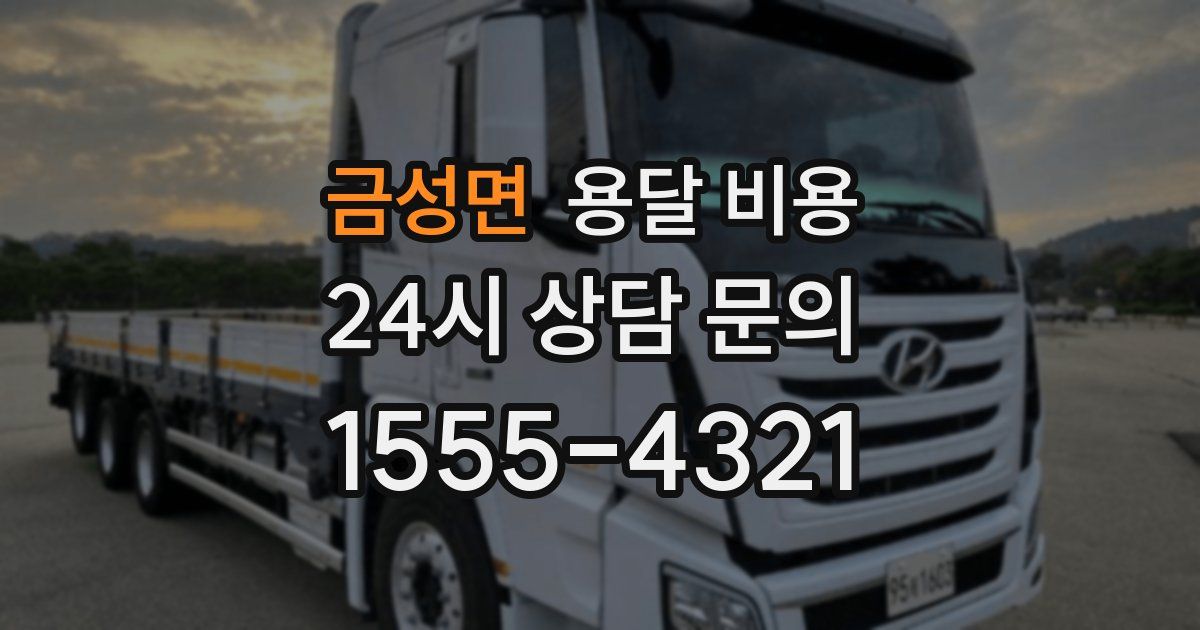 금성면 용달 비용