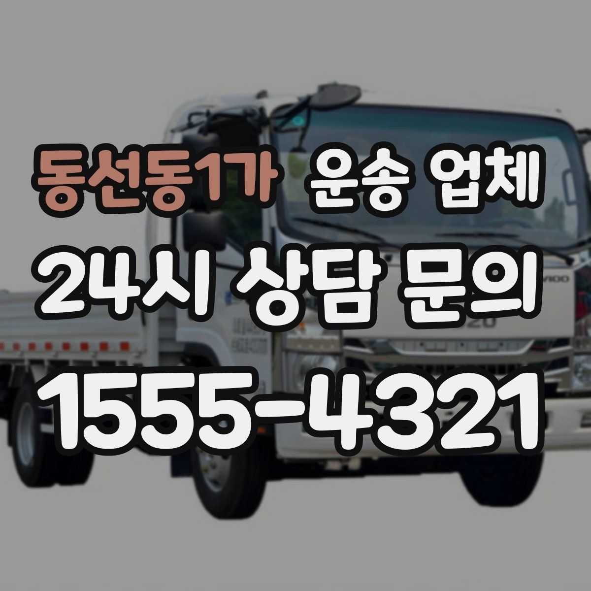 동선동1가 운송 업체