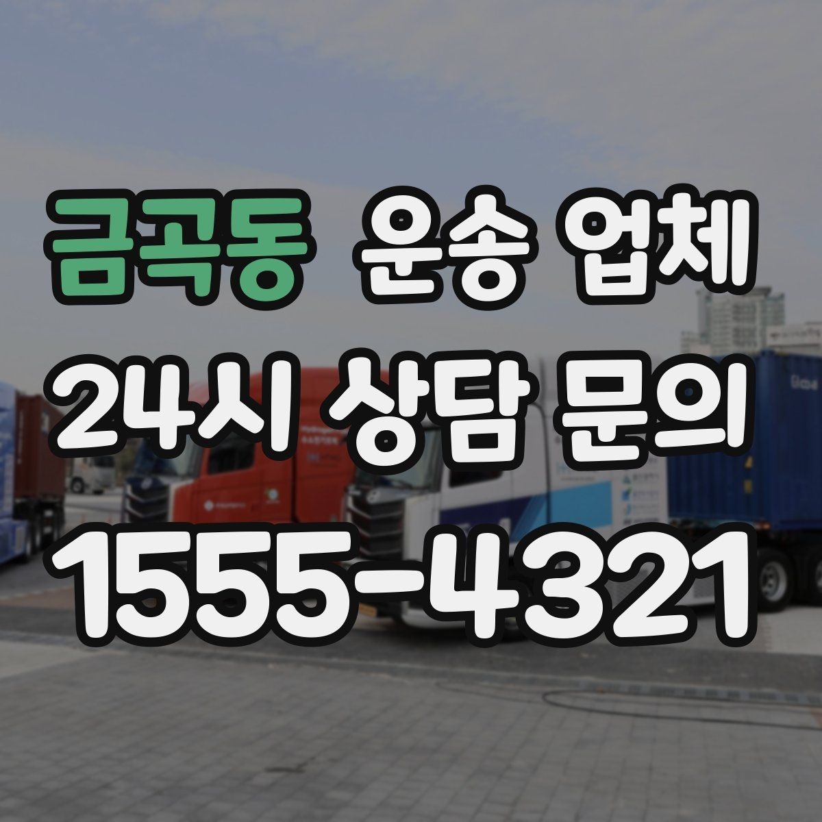 금곡동 운송 업체 단순 운송과 종합 서비스 차이 이해하기