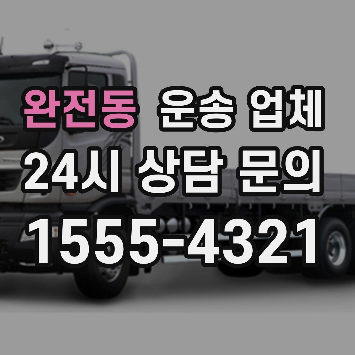 완전동 운송 업체 가장 현실적인 비교 기준 정리