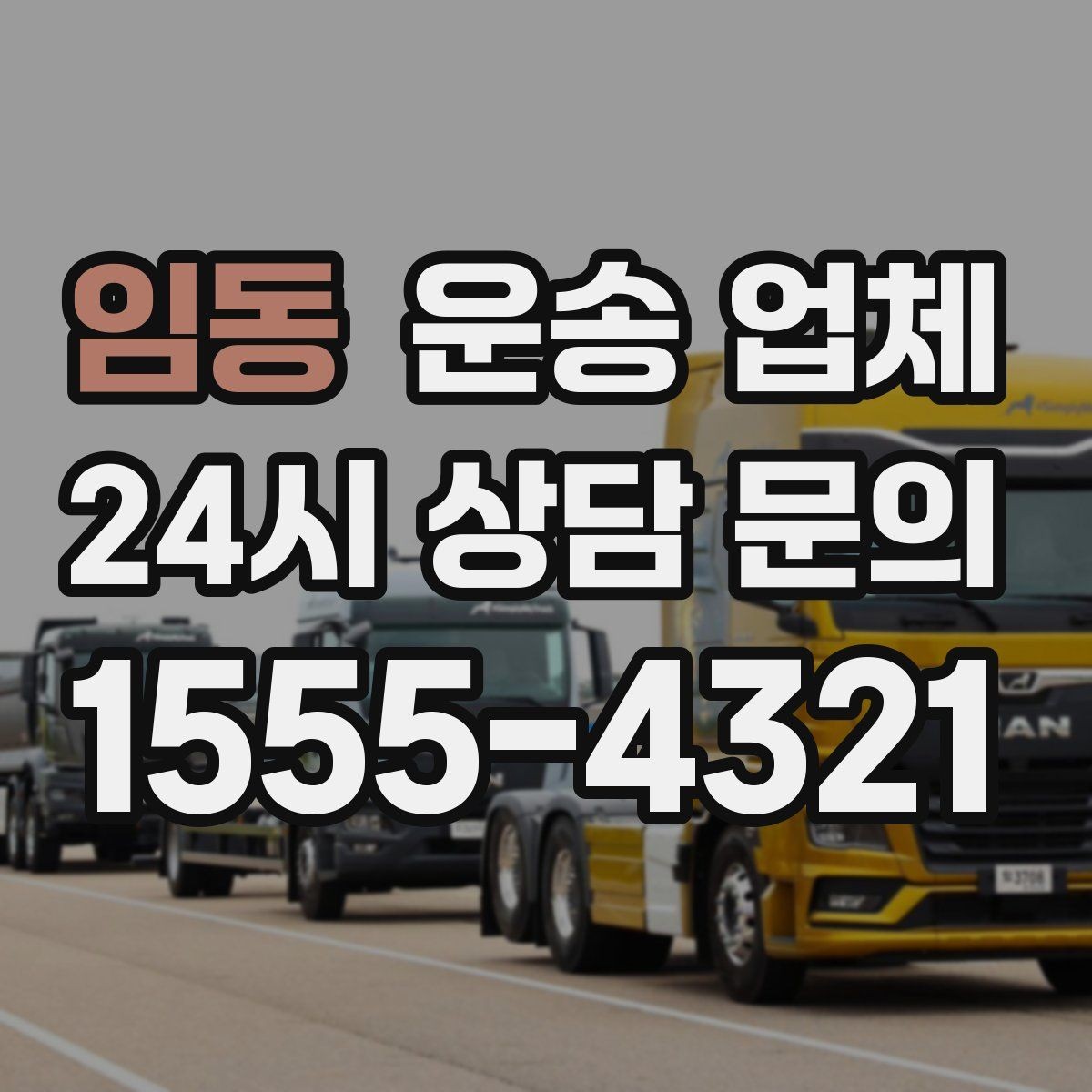 임동 운송 업체 합리적인 비용으로 이용하는 방법