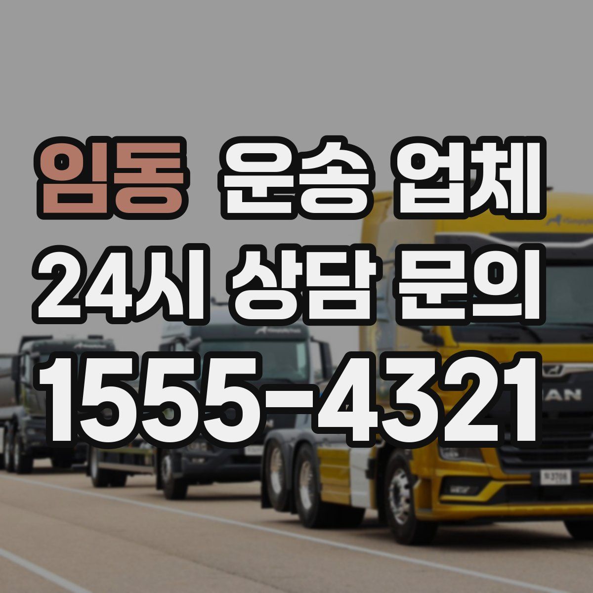 임동 운송 업체