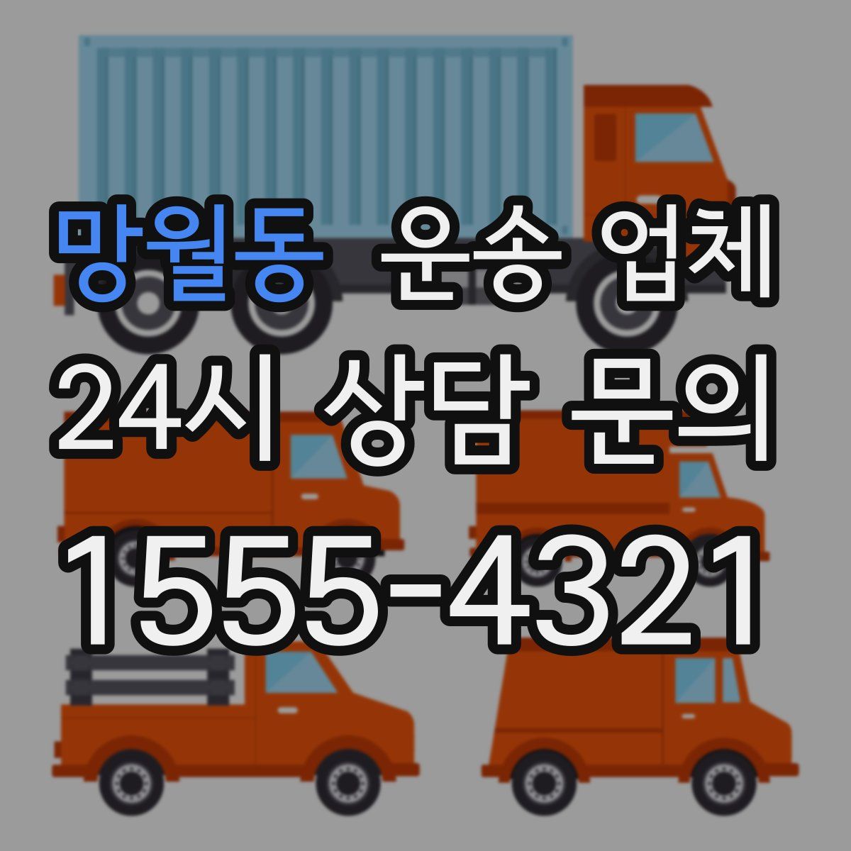 망월동 운송 업체