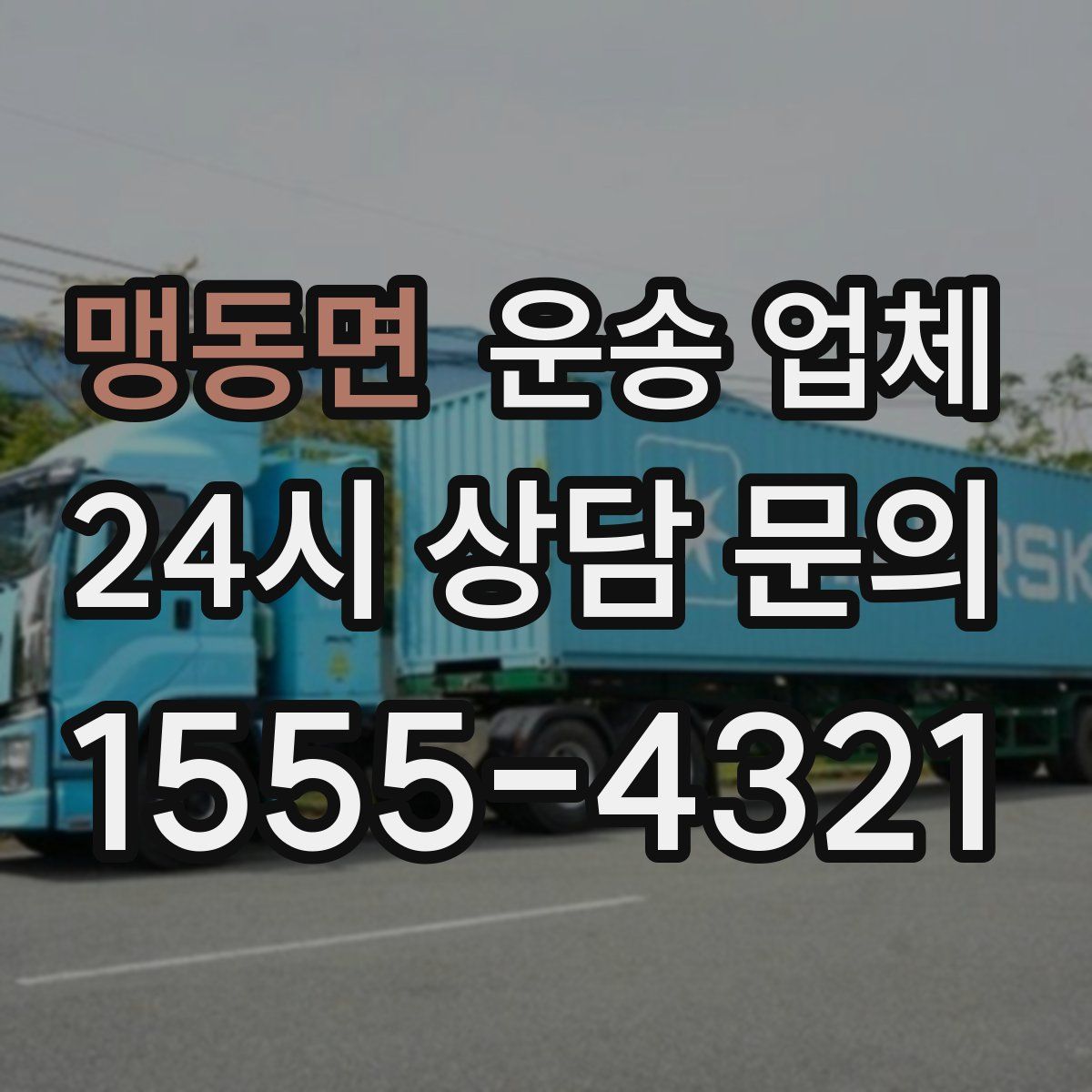 맹동면 운송 업체