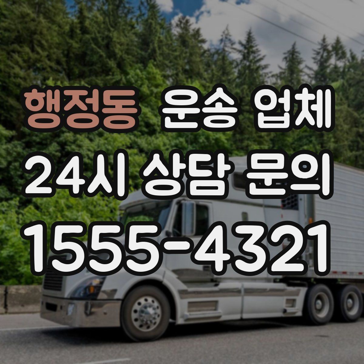 행정동 운송 업체 장기적으로 유리한 선택 방법