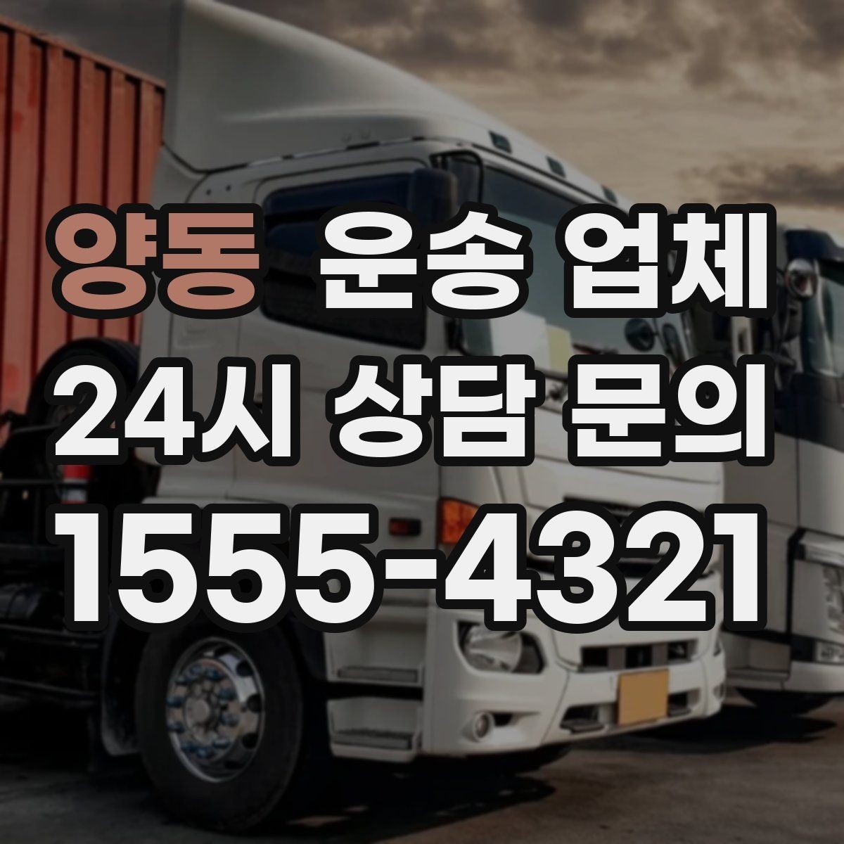 양동 운송 업체 단순 운송과 종합 서비스 차이 정리