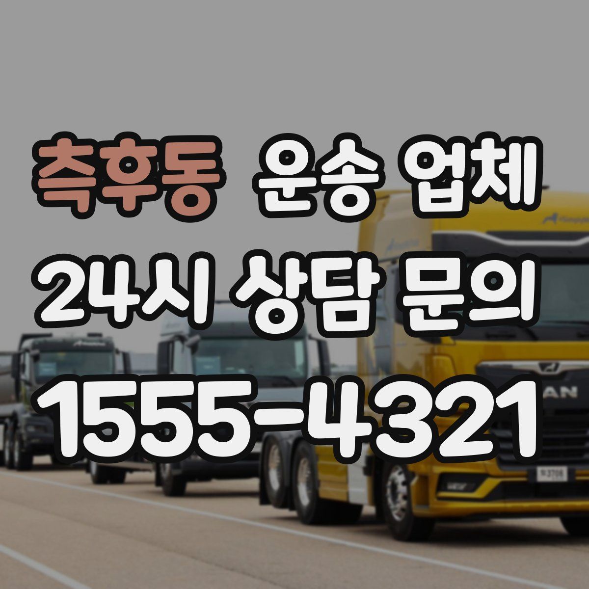 측후동 운송 업체