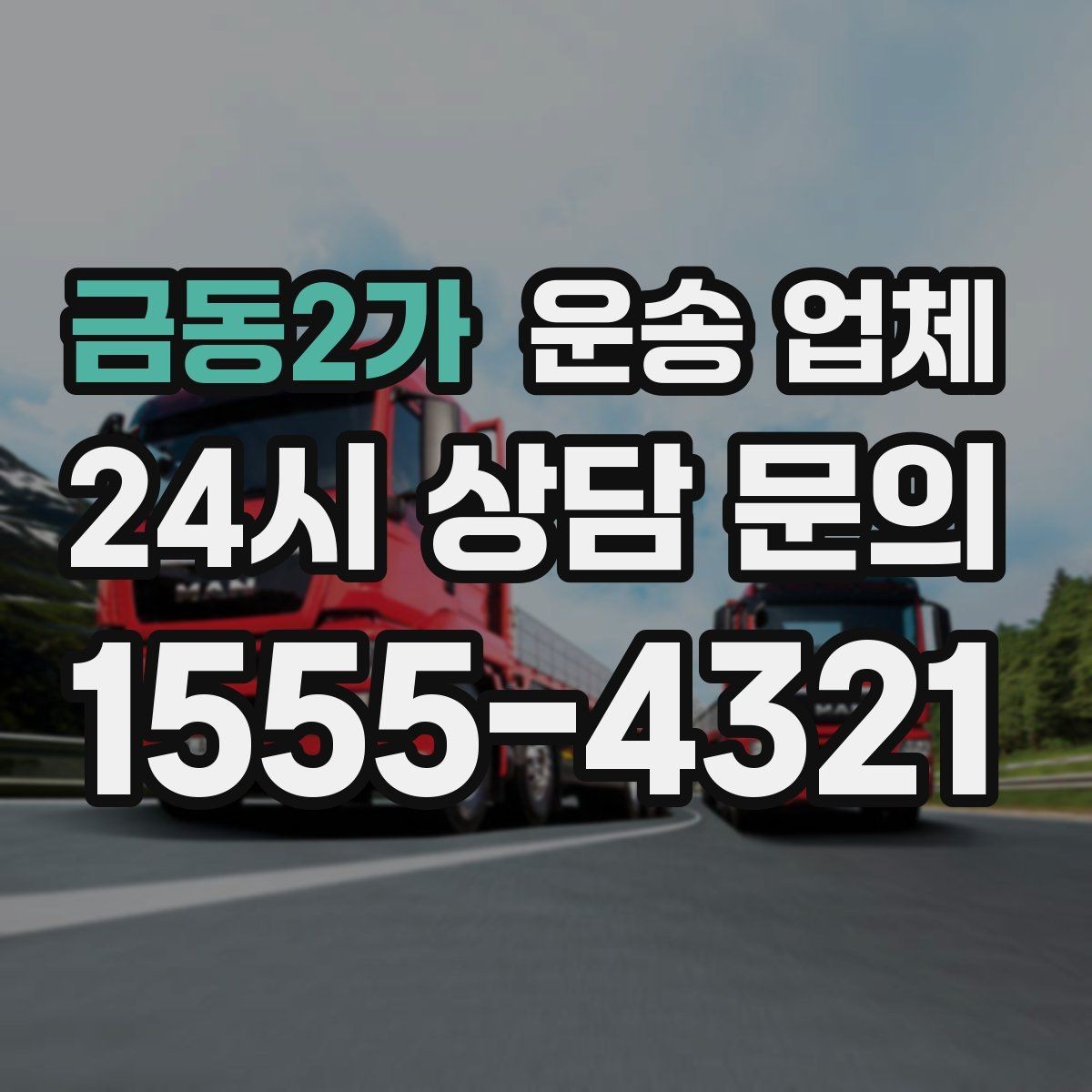 금동2가 운송 업체 짐 크기와 차량 매칭 기준