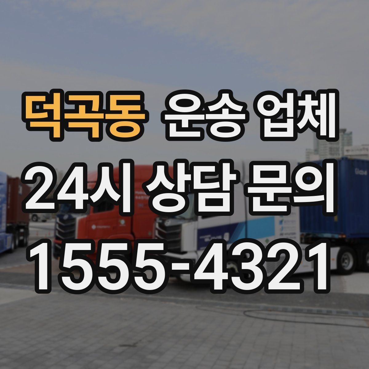 덕곡동 운송 업체 여러 업체 비교 시 핵심 기준