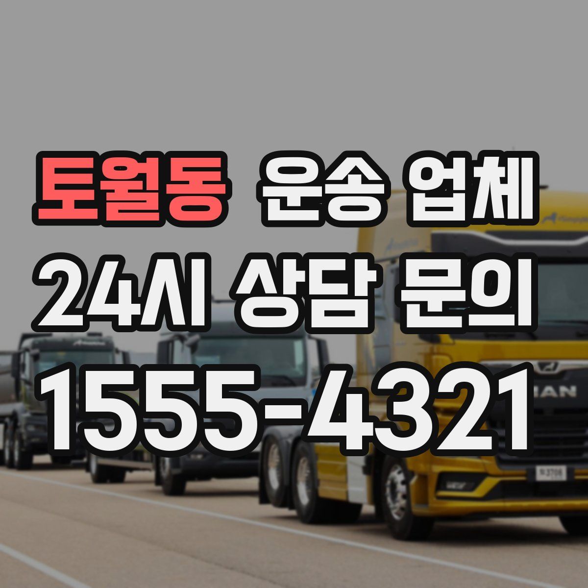 토월동 운송 업체