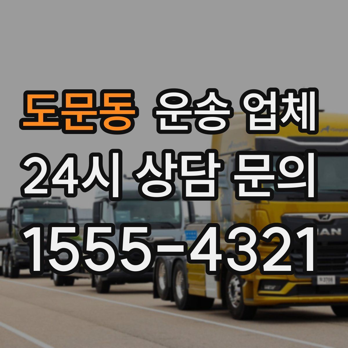 도문동 운송 업체