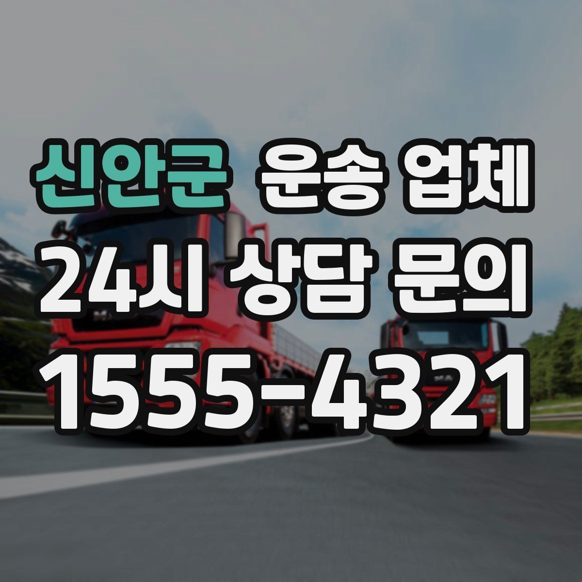 신안군 운송 업체 경험 많은 업체를 선택해야 하는 이유