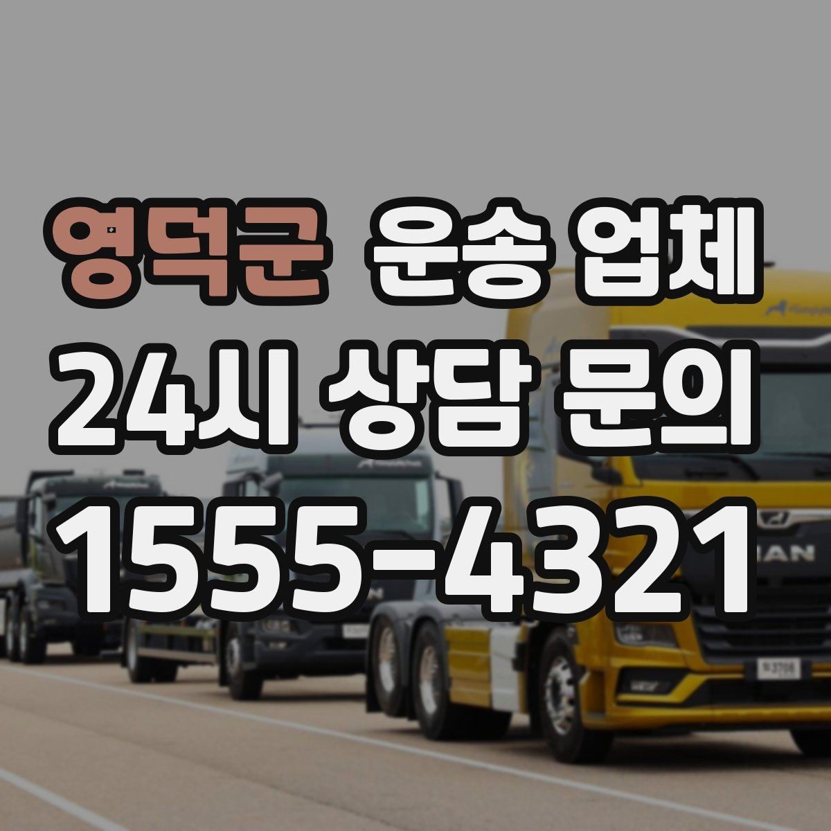 영덕군 운송 업체 행사 물품 운송 시 주의사항