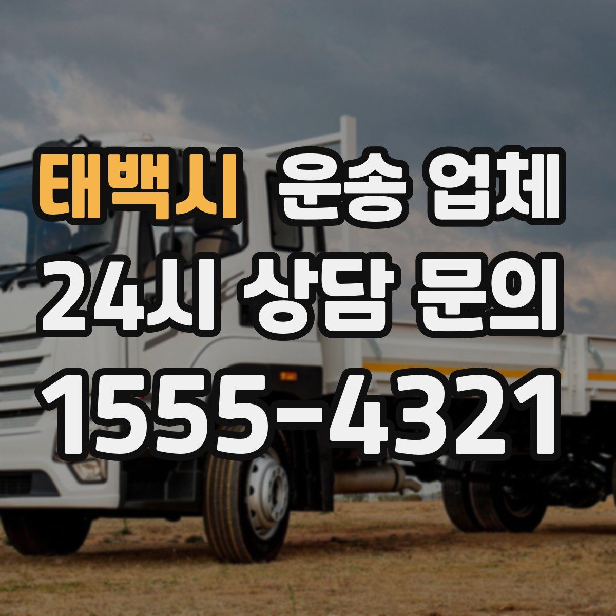 태백시 운송 업체