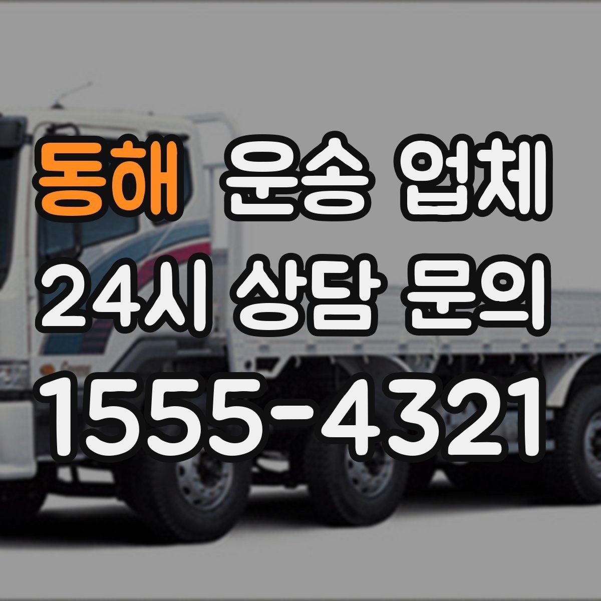 동해 운송 업체 준비부터 이용까지 한 번에 정리