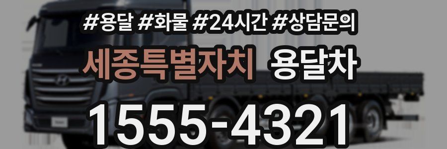 세종특별자치 용달차