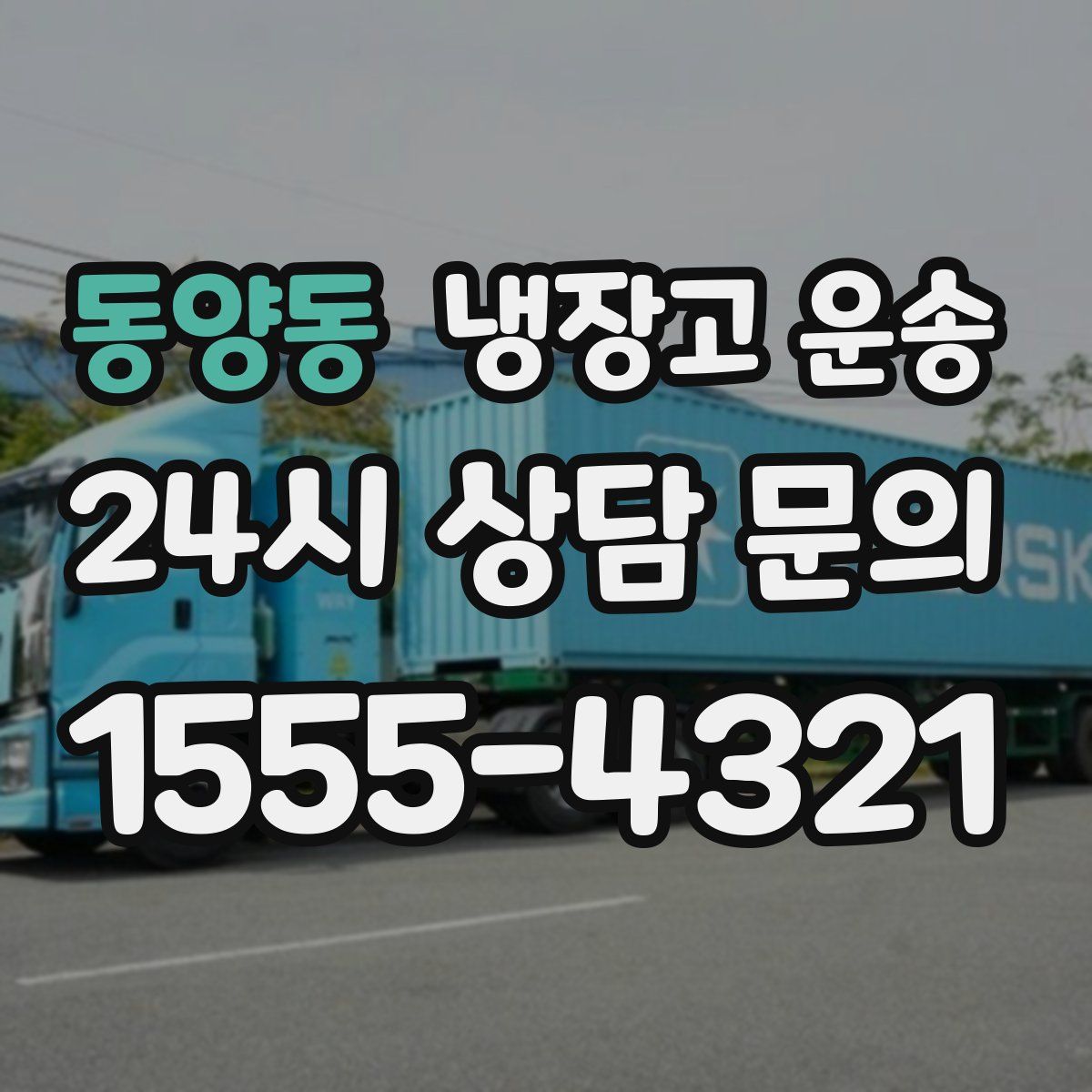 동양동 냉장고 운송