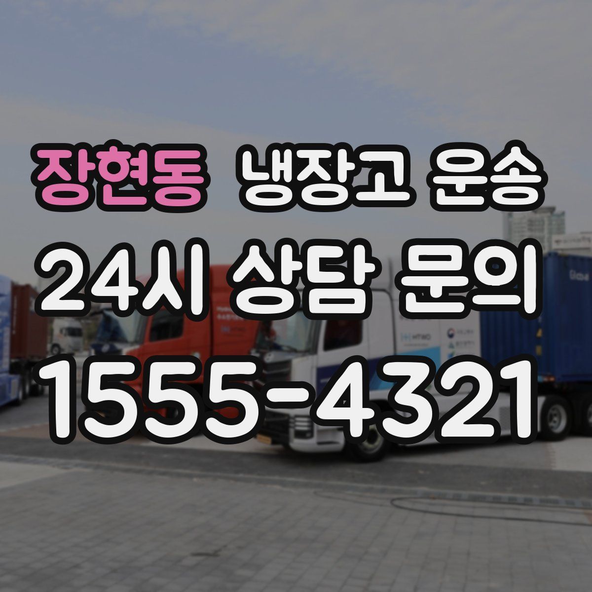 장현동 냉장고 운송