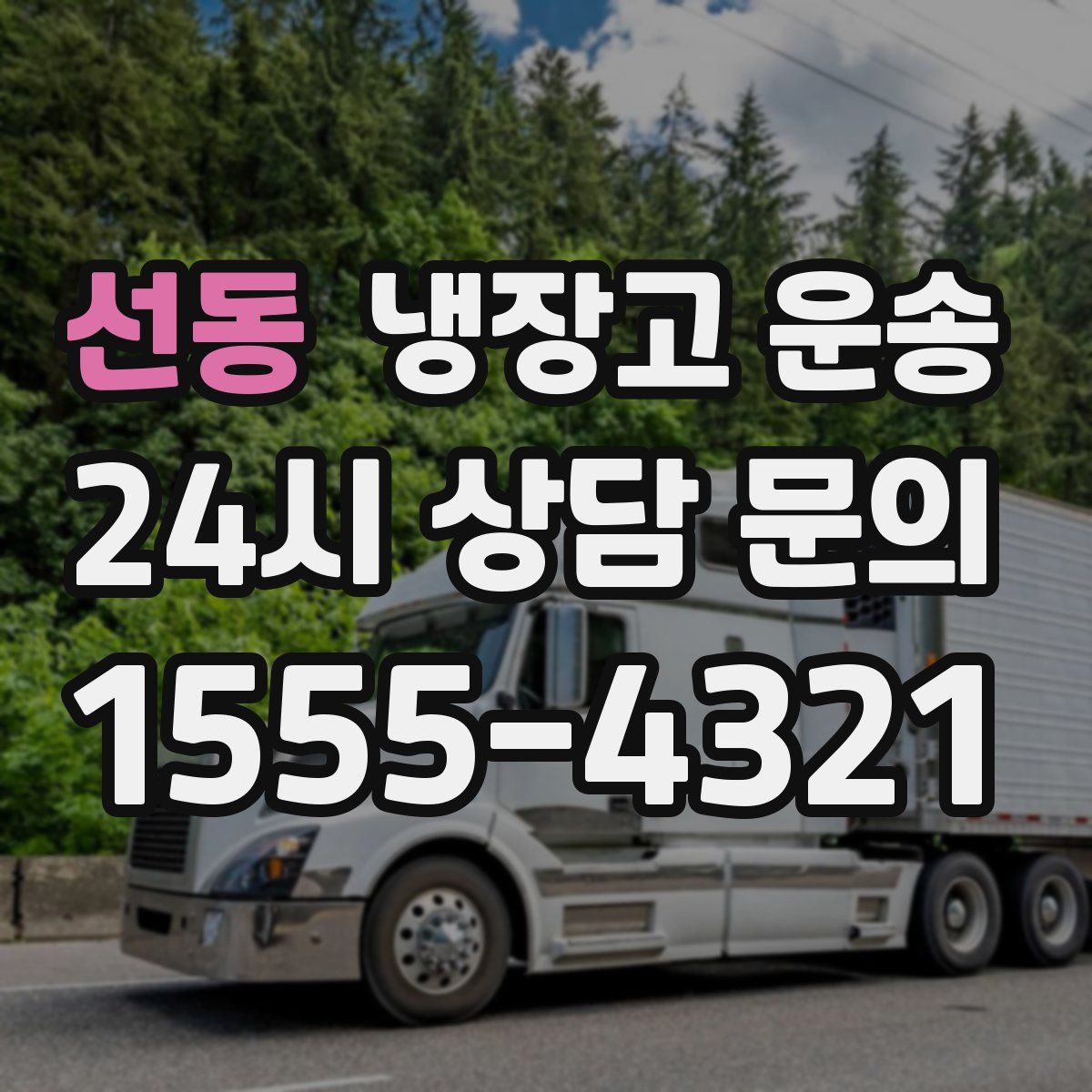 선동 냉장고 운송