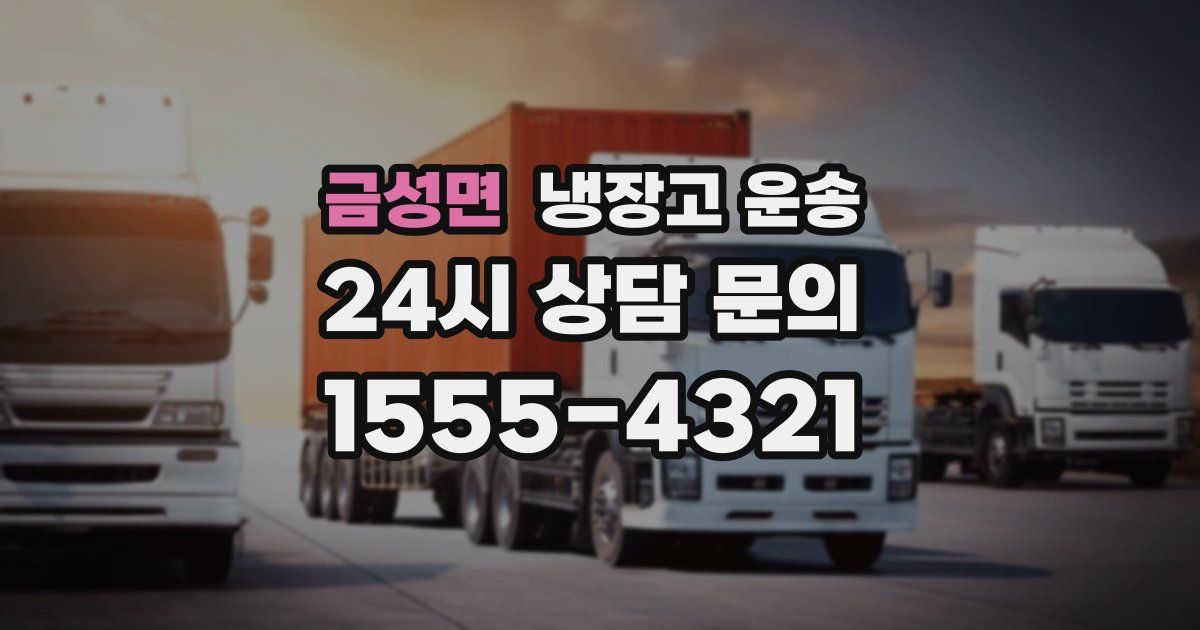 금성면 냉장고 운송