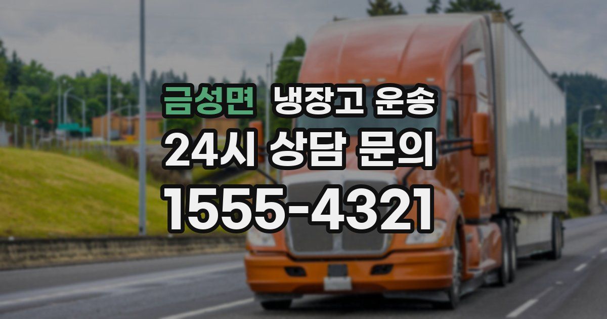 금성면 냉장고 운송