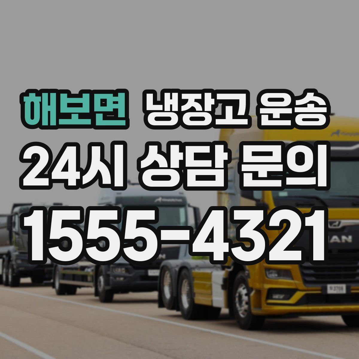 해보면 냉장고 운송